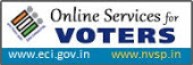 Online Services for Voters